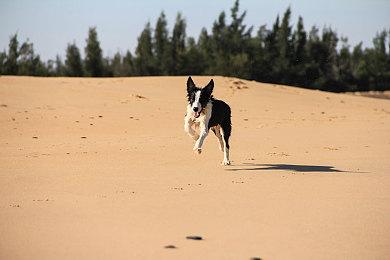 用SteamDeck玩《死亡空间：重制版》 实际体验很差